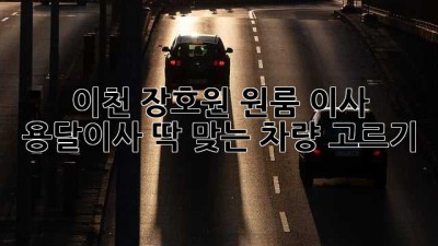 이천 장호원 원룸 이사? 용달이사 딱 맞는 차량 고르기!